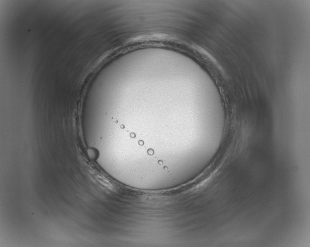 X0000070240921200606020929