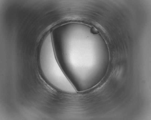 X0000070240922200606020929