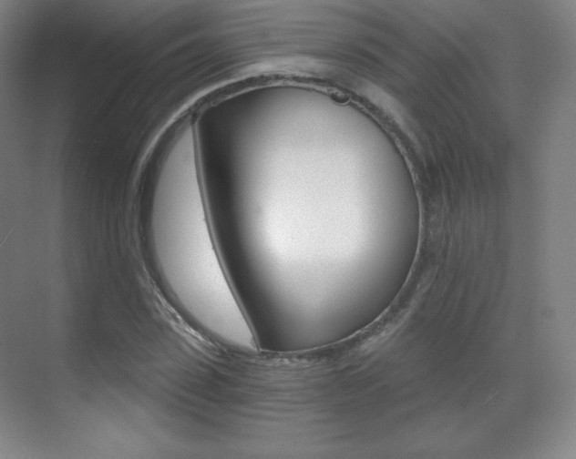 X0000070240923200606020929