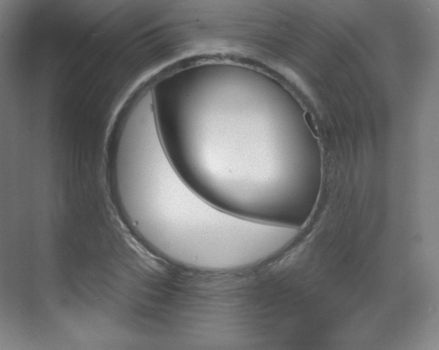 X0000070240927200606020929