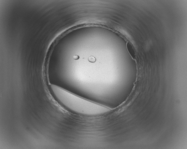 X0000070240928200606020929