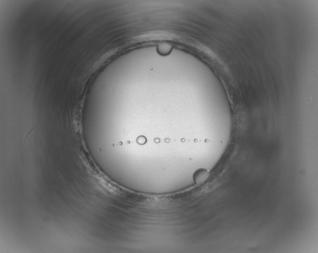 X0000070240929200606020929