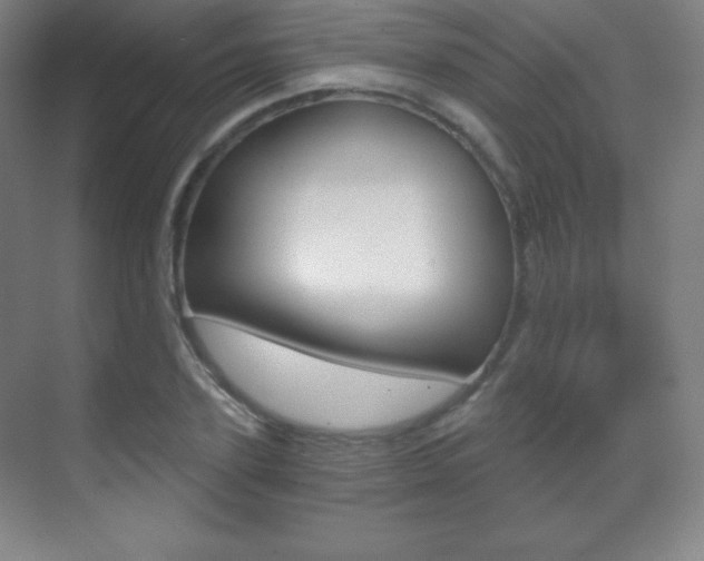 X0000070240931200606020929