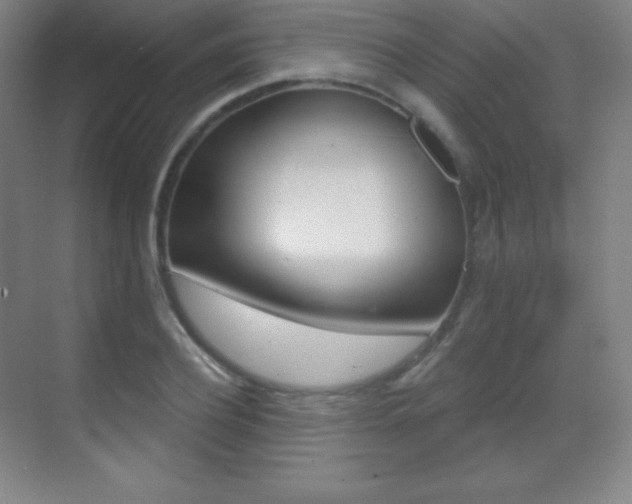 X0000070240932200606020929