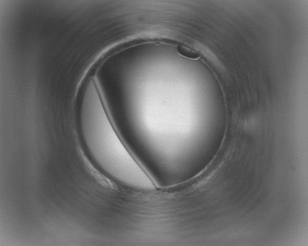 X0000070240934200606020929