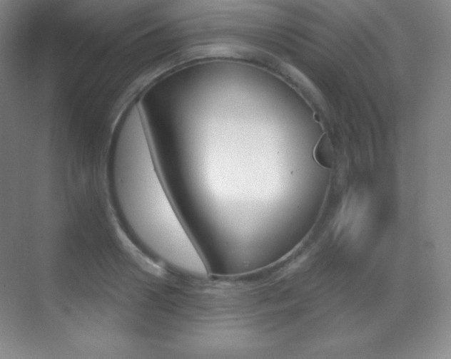 X0000070240938200606020929