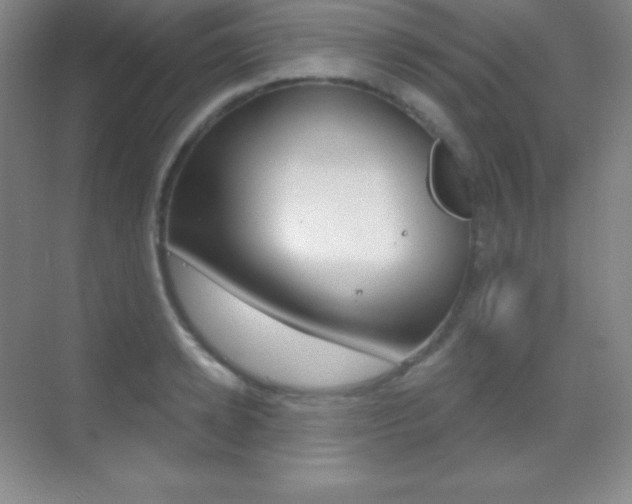 X0000070240942200606020929