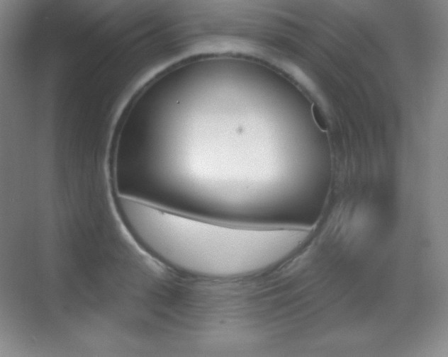 X0000070240943200606020929