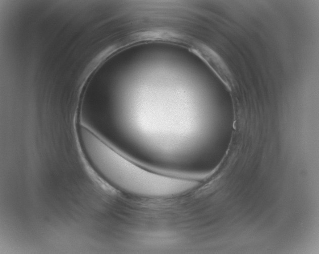 X0000070240946200606020929