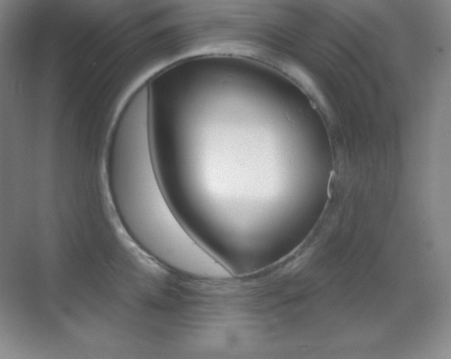 X0000070240952200606020929