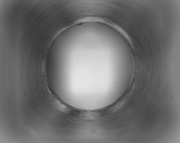X0000070240953200606020929