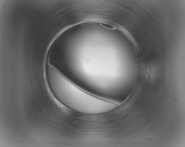 X0000070240955200606020929