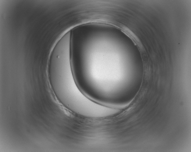 X0000070240956200606020929