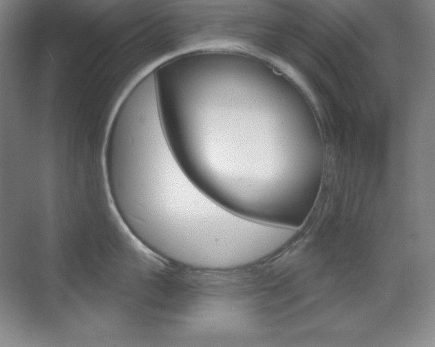 X0000070240959200606020929