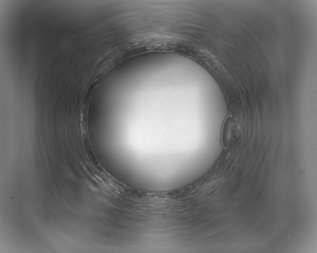 X0000070240964200606020928