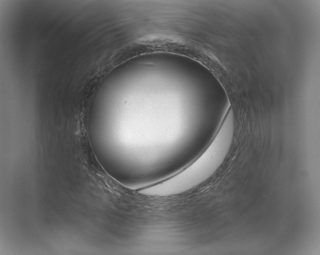 X0000070240965200606020928