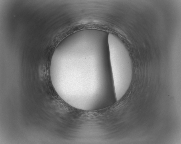X0000070240966200606020928