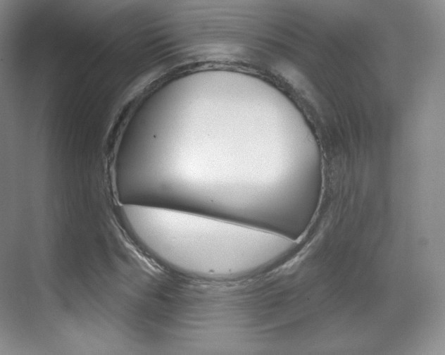 X0000070240970200606020928