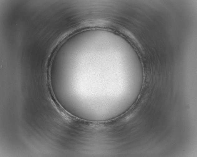 X0000070240978200606020928