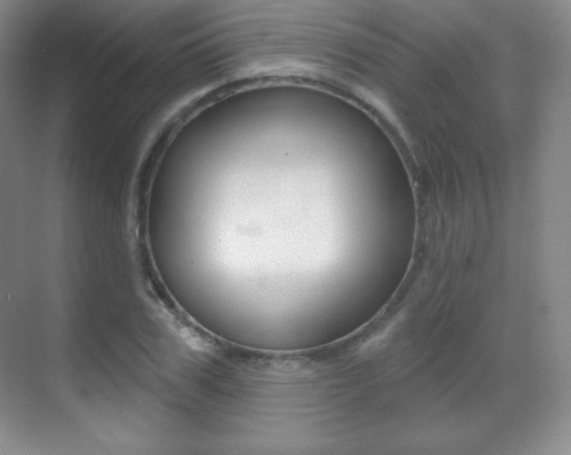X0000070240979200606020928