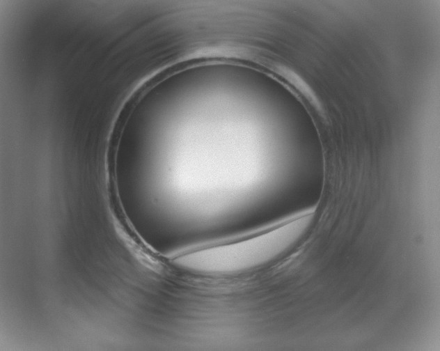 X0000070240980200606020928