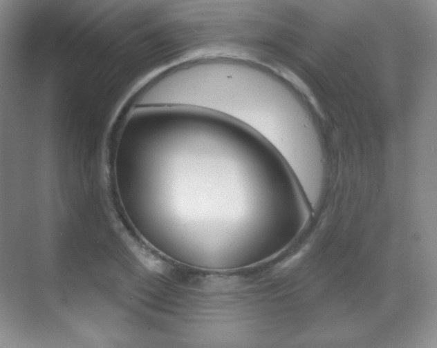 X0000070240981200606020928