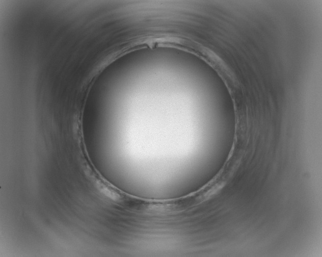 X0000070240985200606020928