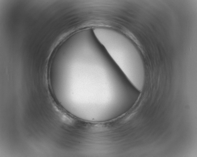 X0000070240986200606020928