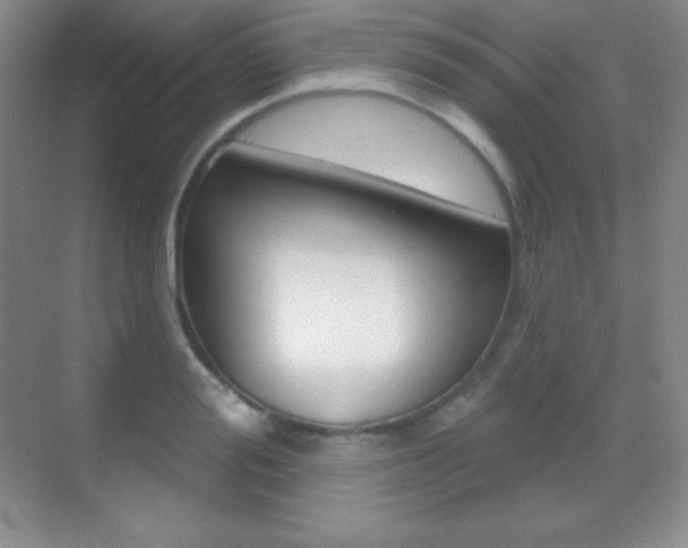 X0000070240988200606020928