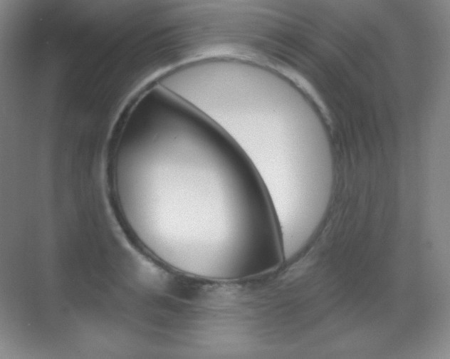 X0000070240991200606020928