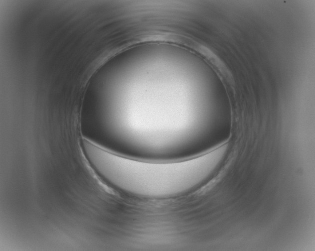 X0000070240993200606020928