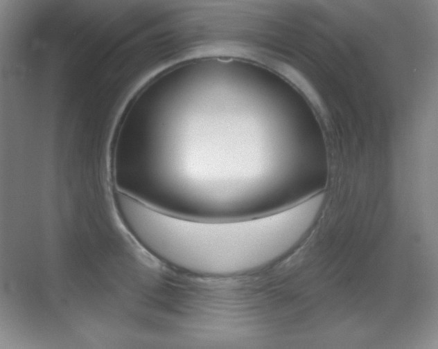 X0000070240996200606020928