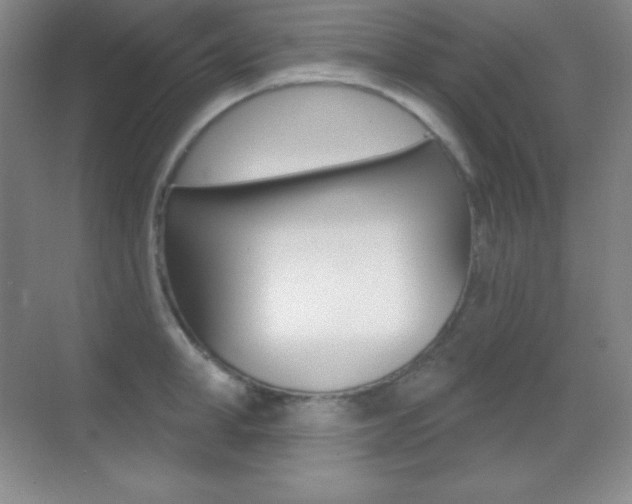 X0000070240998200606020928