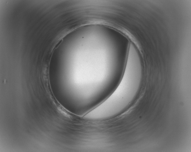 X0000070241001200606020928