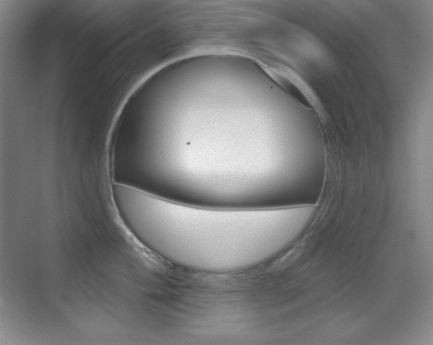 X0000070241004200606020928