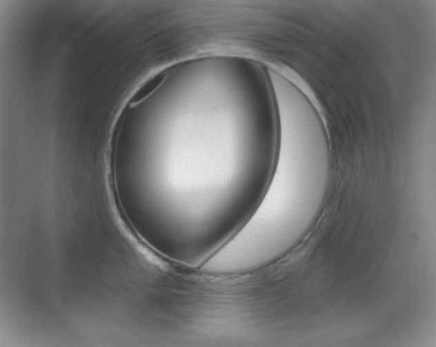 X0000070241005200606020928