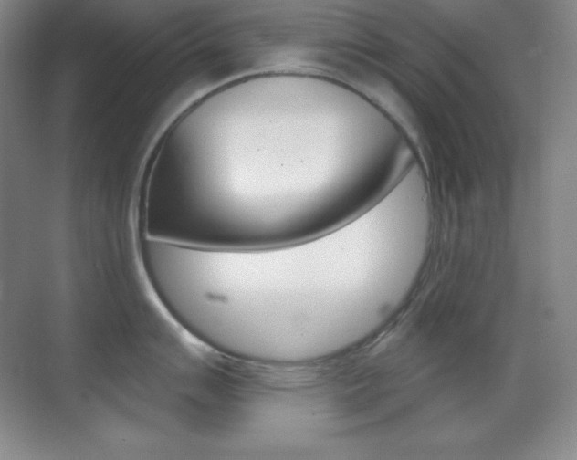 X0000070241007200606020928