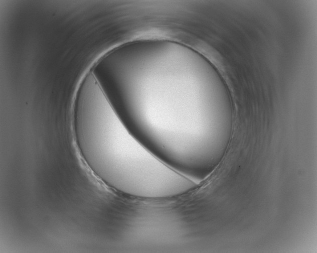 X0000070241008200606020928