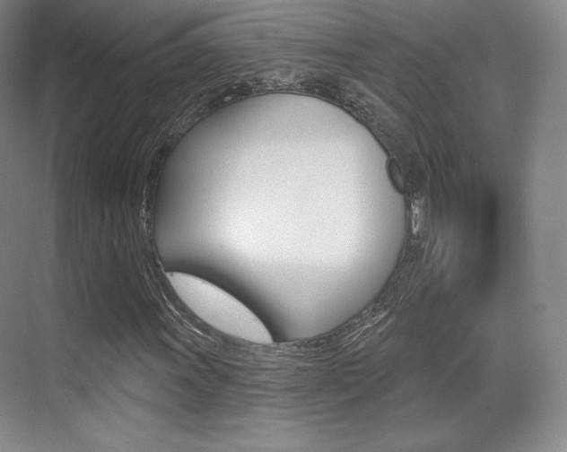 X0000070241011200606020927