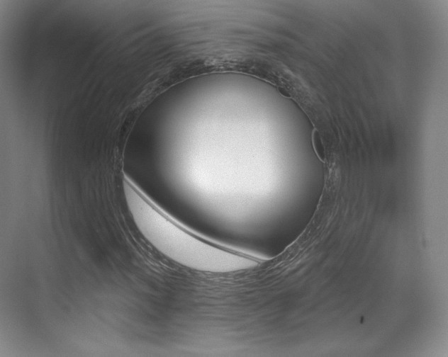 X0000070241012200606020927