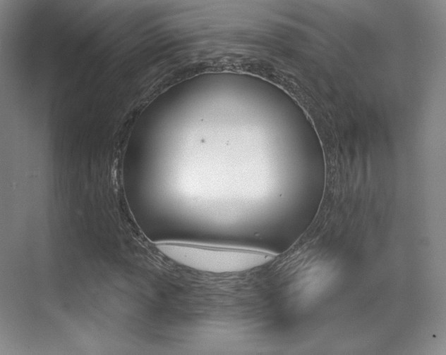 X0000070241013200606020927