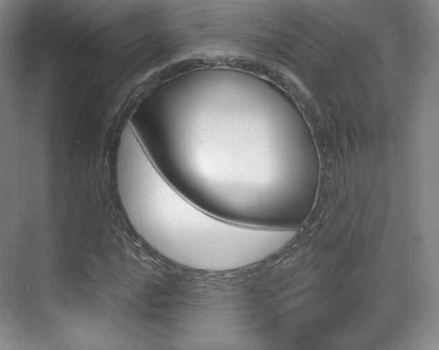 X0000070241016200606020927