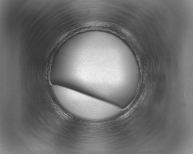 X0000070241017200606020927