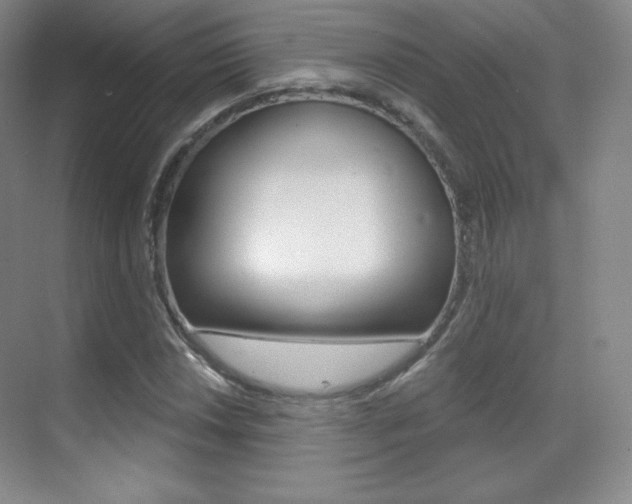 X0000070241018200606020927