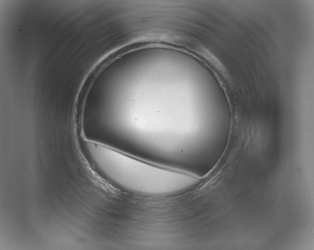 X0000070241020200606020927