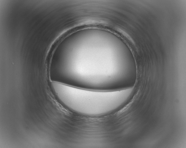 X0000070241021200606020927