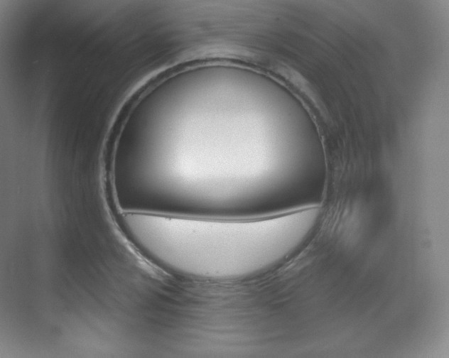 X0000070241024200606020927
