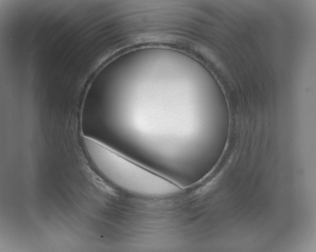 X0000070241025200606020927