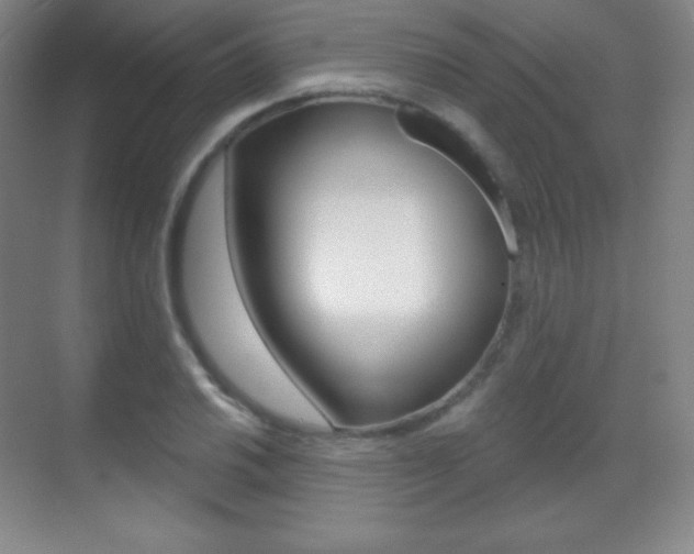 X0000070241030200606020927