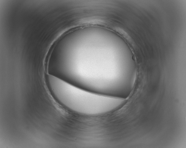 X0000070241031200606020927